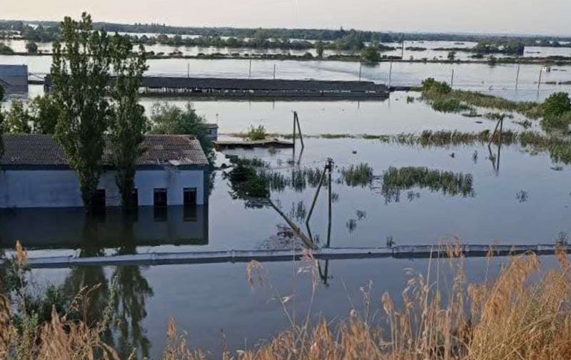 Він був такий один. Після підриву Каховської ГЕС затопило єдиний в Україні осетровий завод — фото